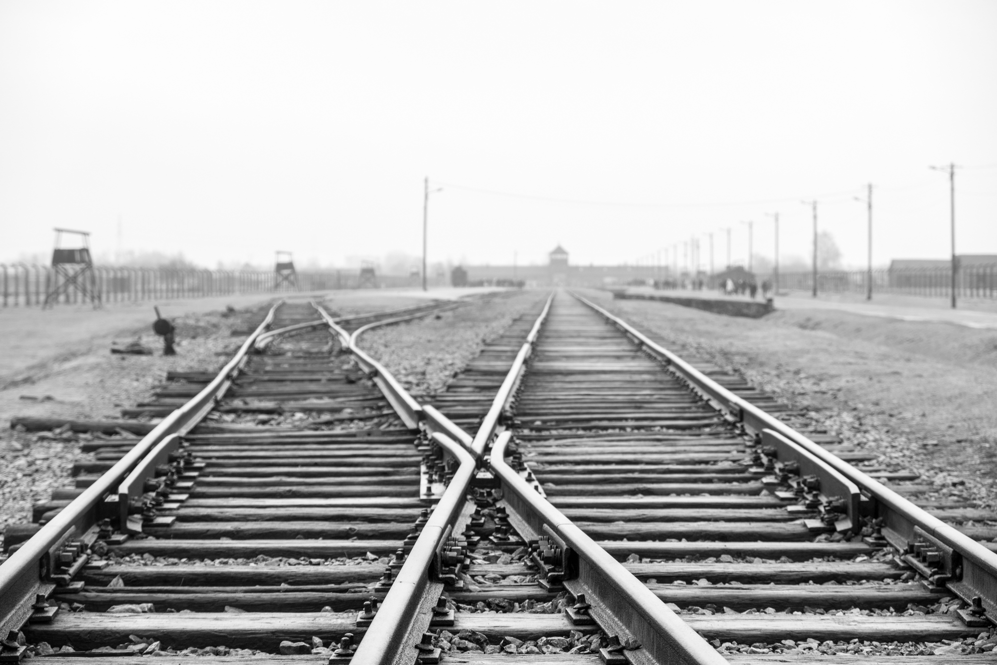 Railway tracks and bridges all converging eventually at Auschwitz junction