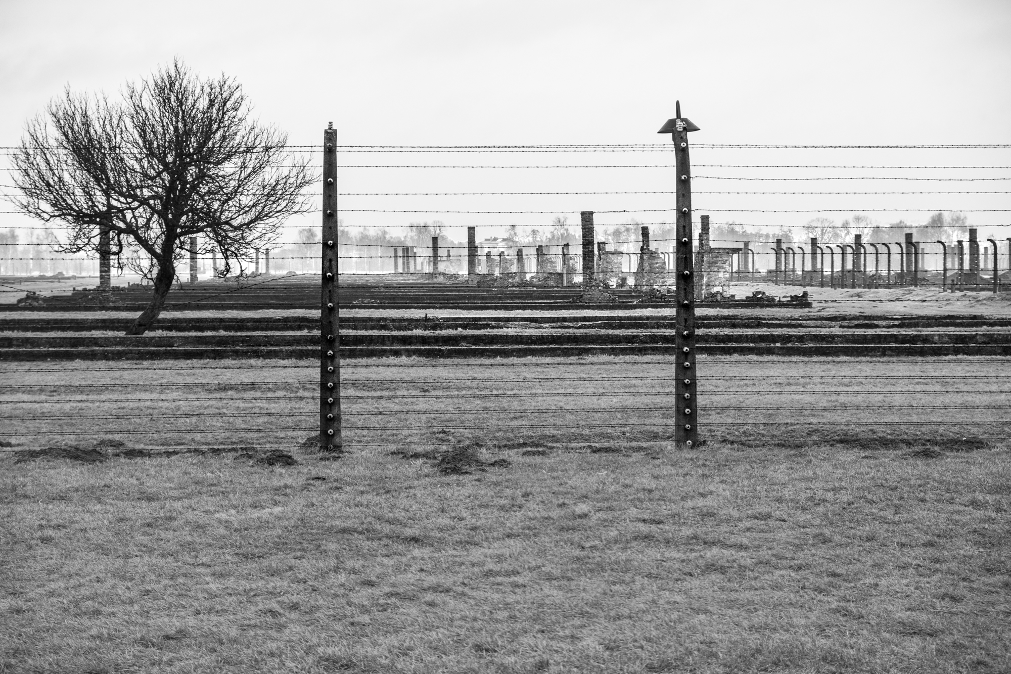 Half of the concentration camp was razed to the ground as the Nazis fled